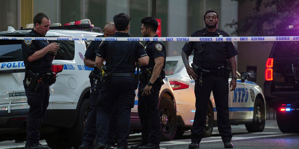 https://a57.foxnews.com/cf-images.us-east-1.prod.boltdns.net/v1/static/990505083001/85ae3f1c-9a0c-4f04-bd2c-5a2b427175e4/131a410d-e1de-4a17-8a07-c6f1ab310c6a/1280x720/match/1024/512/image.jpg?pubId=694940094001?ve=1&tl=1