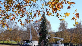 Jesse Watters Primetime - Monday, November 24 - Fox News