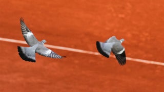 The Five - Wednesday, May 28 - Fox News