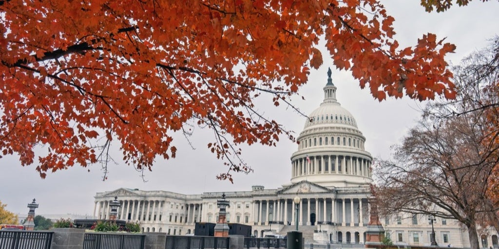 Gutfeld! - Friday, November 21