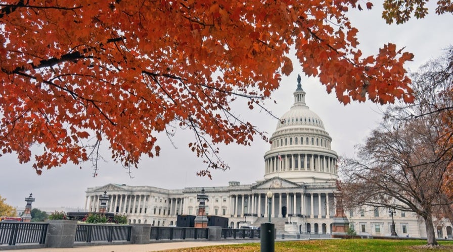 Gutfeld! - Friday, November 21