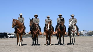 The Will Cain Show - Wednesday, March 5 - Fox News