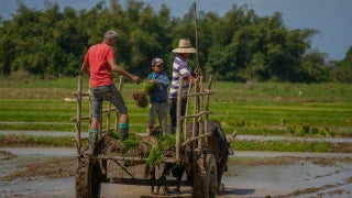 Fox News Sunday - Sunday, April 13 - Fox News