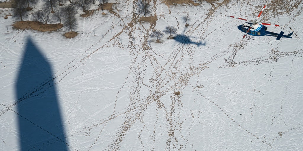 Outnumbered - Wednesday, February 25