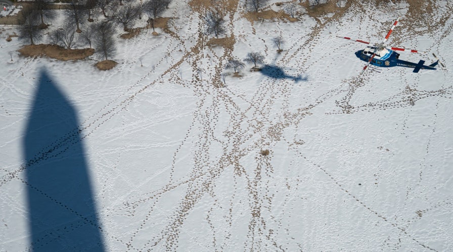 Outnumbered - Wednesday, February 25