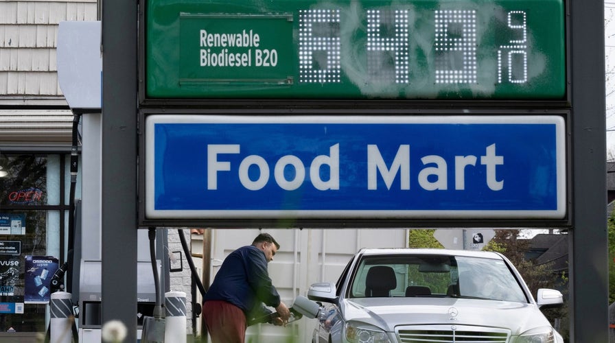 The Sunday Briefing - Sunday, April 19