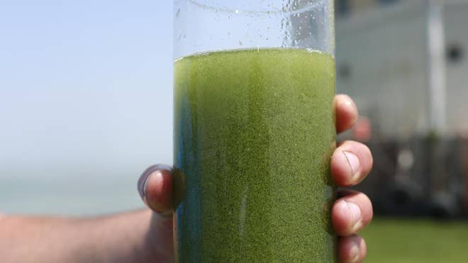 Ban on putting manure on wet, frozen fields in northwest Ohio aims to slow algae ...