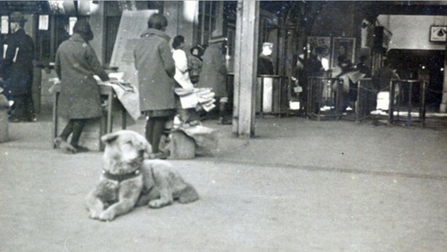 hachiko.jpg
