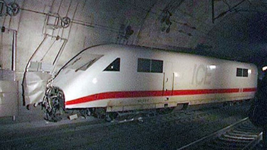 High-Speed Train Crashes Into Herd of Sheep in Germany | Fox News