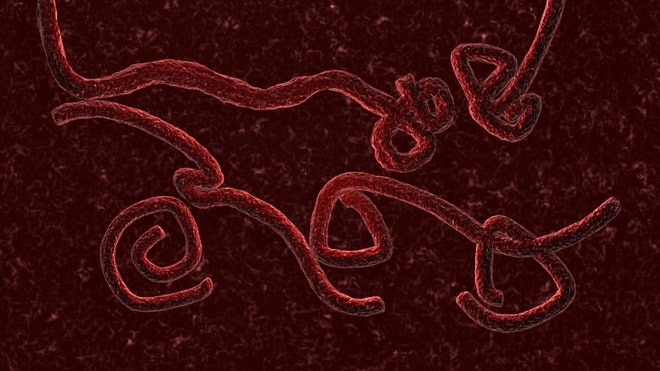 ebola_istock.jpg