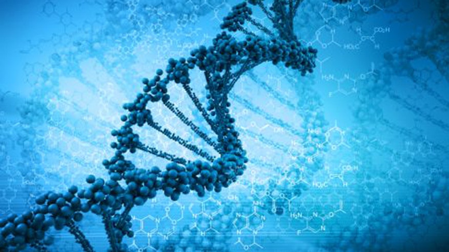 DNA genes formatted.jpg