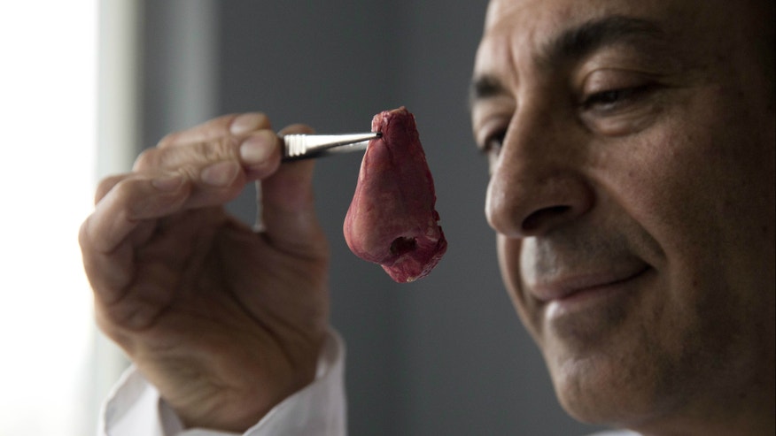 Lab Body Parts 2_AP_April 8 2014.jpg
