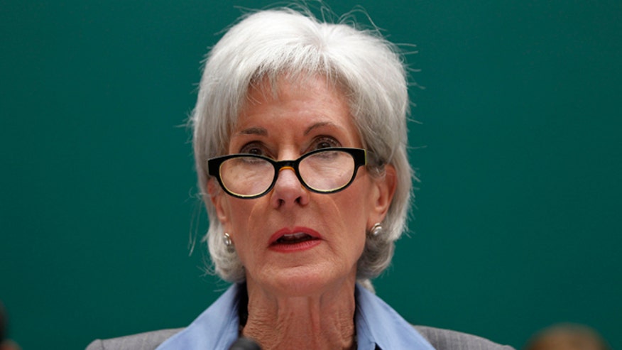 Sebelius on Gruber: Never met him | Fox News