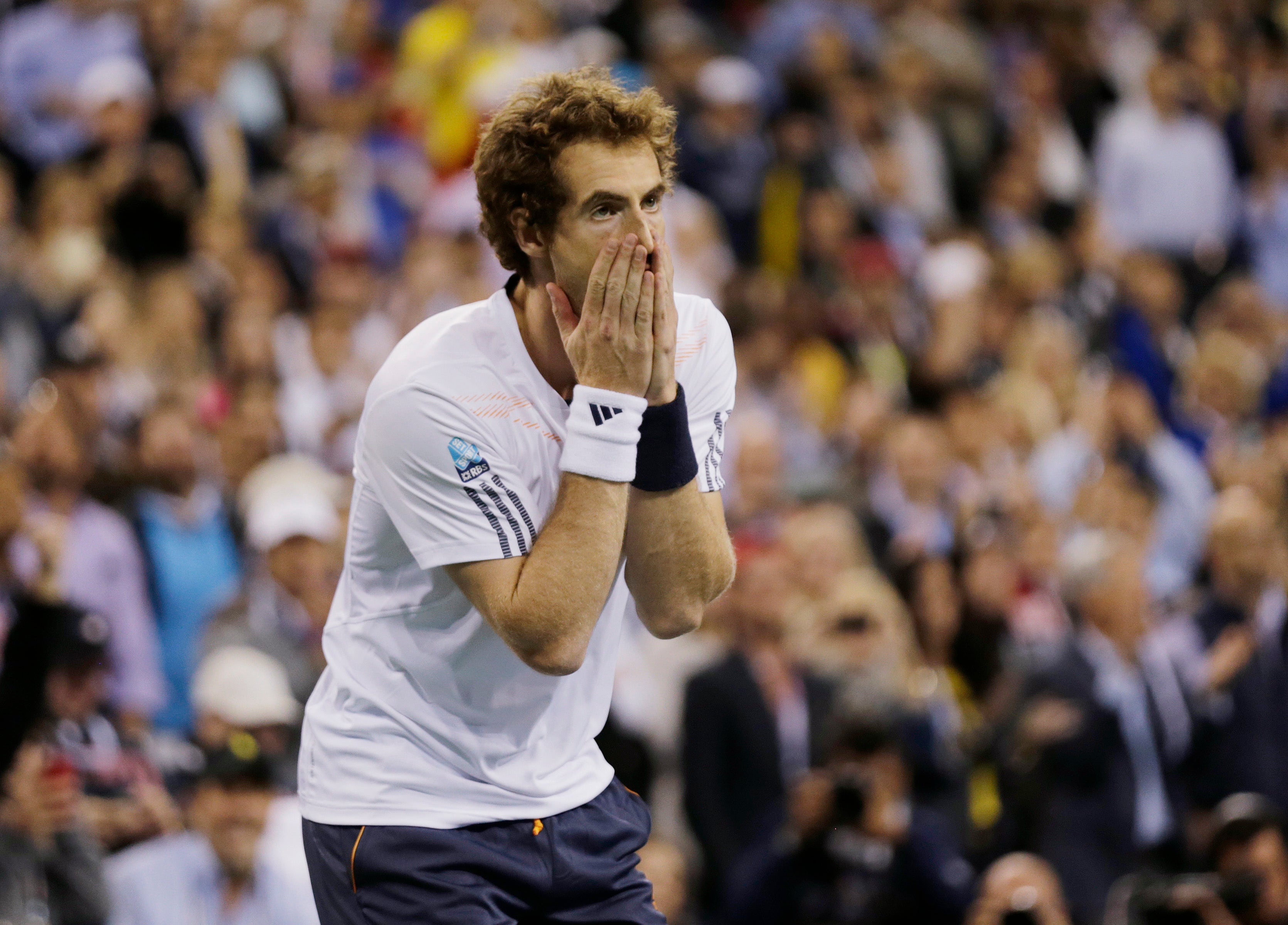Andy Murray Grand Slam Wins Andy Murray Grand Slam Wins