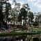 No-phone policy at Masters