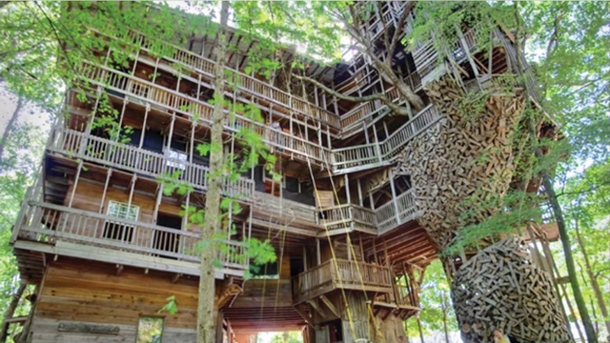 house_tree.jpg