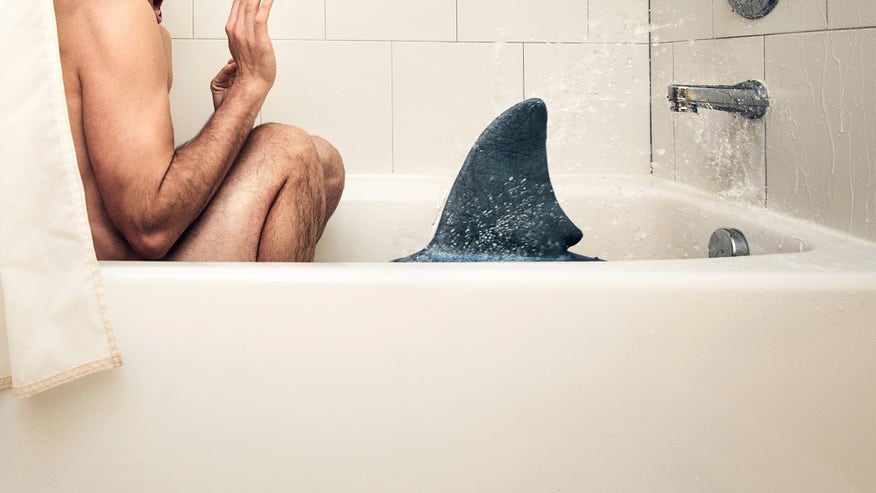 bathroom-shark-4aee4224f193f410VgnVCM200000d6c1a8c0____