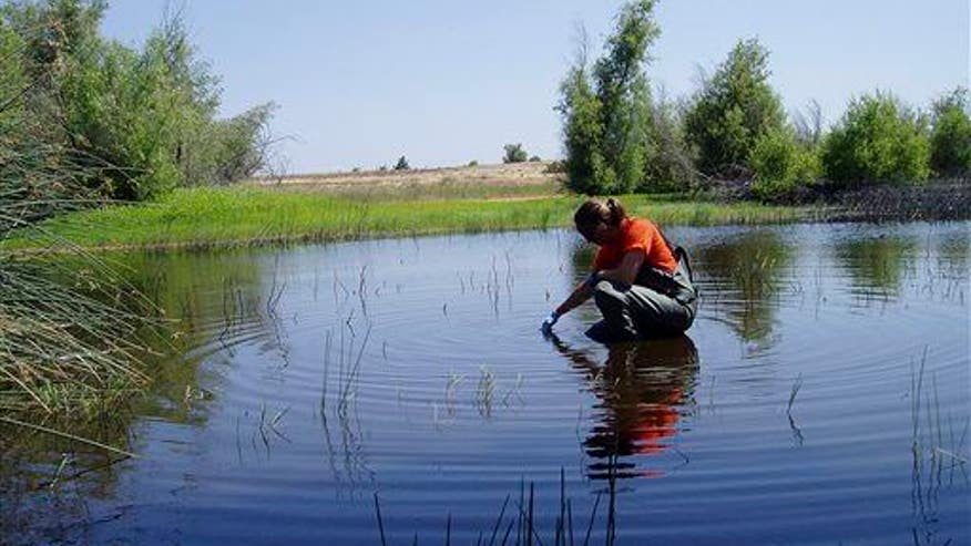 On the decline: pesticides in US waterways