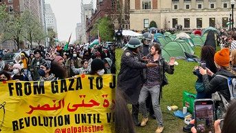 Fox News Poll shows how voters really feel about anti-Israel student agitators