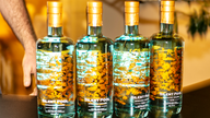 Gin brand made in England breaks into US market following company acquisition