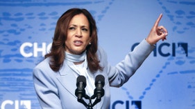 VP Harris' proposed tax plan could put nearly 800,000 Americans out of work - Fox News