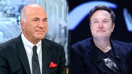 Kevin O'Leary endorses Musk to lead government efficiency commission - Fox News