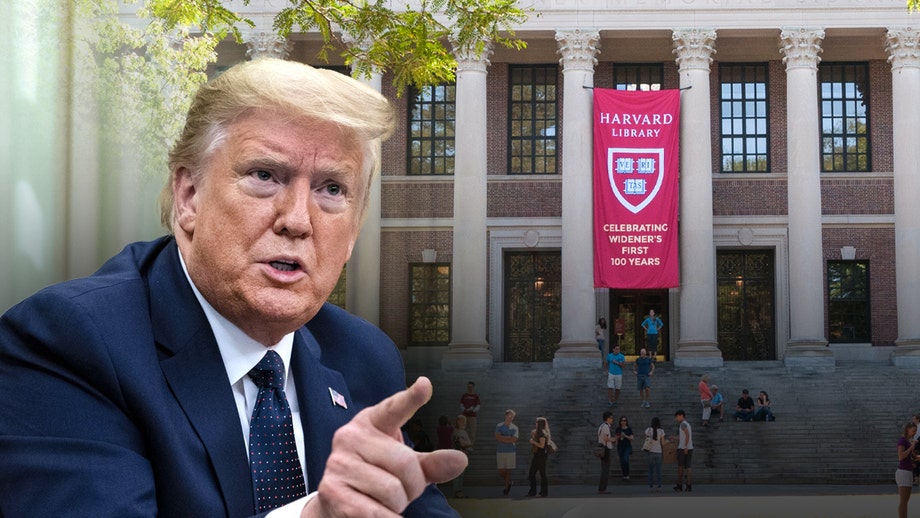Here's what happened during Trump's 13th week in office 