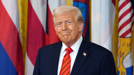 Powerful players back Trump’s ‘big beautiful bill’ - Fox News