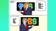 Political cartoons of the day - Fox News