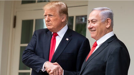 White House confirms Israel accepts US-backed ceasefire proposal for Gaza hostages