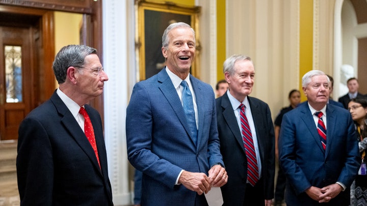 Big Tech left out in the cold after President Trump's bill passes through Senate - Fox Business News