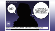 Political cartoons of the day - Fox Business News