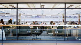 AI threatens millions as experts warn white-collar jobs are first to go - Fox Business News