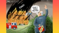 Political cartoons of the day - Fox Business News