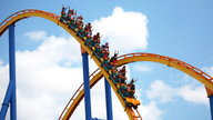 Atlanta-area amusement park closes after 36 years, coaster up for sale - Fox Business News