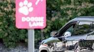 Dunkin' opens first-ever dog drive-thru with treats and toys for pups - Fox Business News