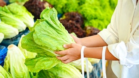 Lettuce sales tumble as massive foodborne outbreak expands across US - Fox Business News