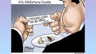 Political cartoons of the day - Fox Business News