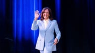 Expert breaks down 2028 presidential field: Who is running and who is out - Fox Business News