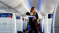 Major airline unveils new perks for travelers in rewards program shake-up - Fox 
