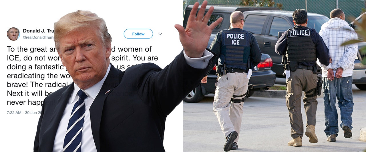 Trump slaps down Dems' 'abolish ICE' push, says agents are 'doing a fantastic job'