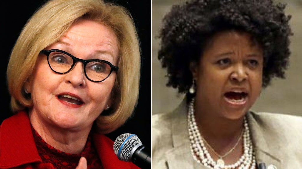 Dem bashes McCaskill in profanity-laced attack for âcrazy Democratsâ comment