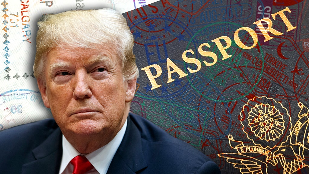 LAURA INGRAHAM: Media, Dems freak out over birthright citizenship debate
