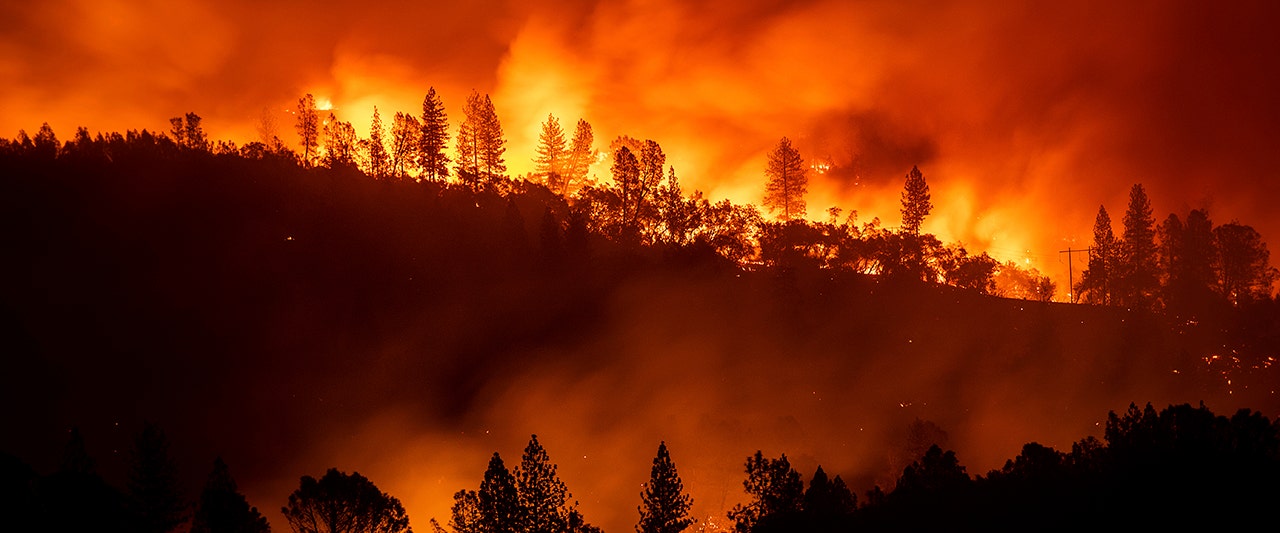 Sheriff confirms 29 dead in Northern California wildfire, more than 200 unaccounted for