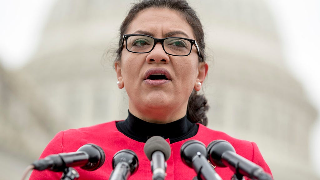 Rep fires back after Holocaust remarks, told to talk to 'racist idiots' like children