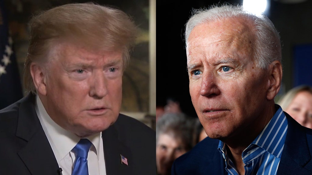 Trump hits Biden's 'dumb' comment in Fox News interview