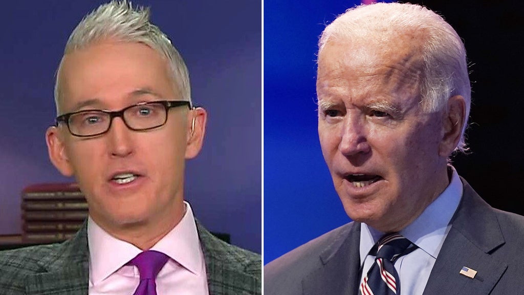 Trey Gowdy's message for Biden amid Supreme Court battle: 'Win elections'