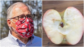 Washington Gov. Jay Inslee gives maggot-infested apples to wildfire victims, regrets 'mistake'