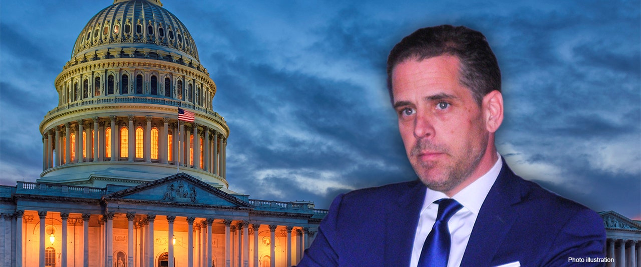 Senate probing newly emerged emails, purport to show Hunter Biden linking VP dad to Ukraine exec