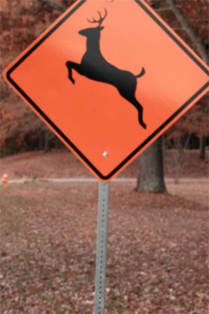 Hunting accident prompts WARNING from state